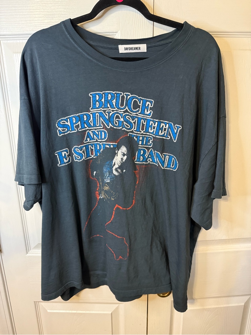 Daydreamer Bruce Springsteen Graphic Tee in Slate